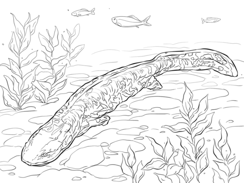 Hellbender Coloring Page