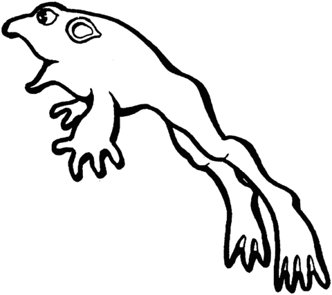 Toad Coloring Page