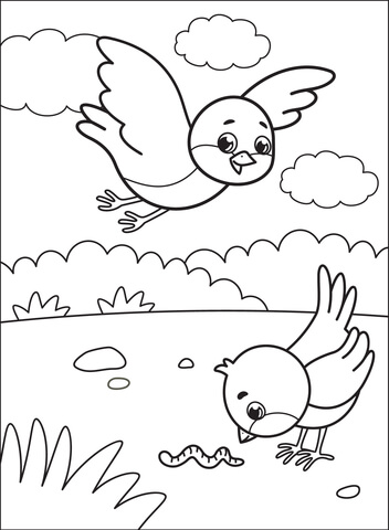 Bluebird Coloring Page