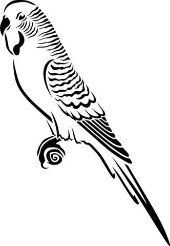 Budgie Coloring Page