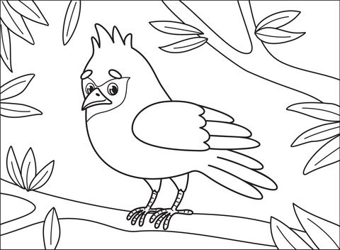 Cardinal Coloring Page