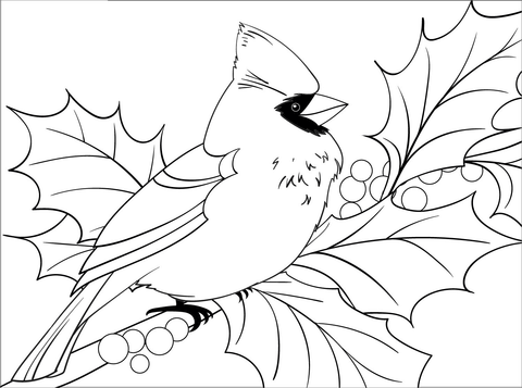 Cardinal Coloring Page