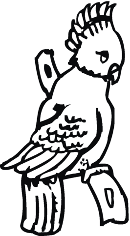 Cockatoo Coloring Page