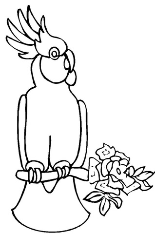 Cockatoo Coloring Page