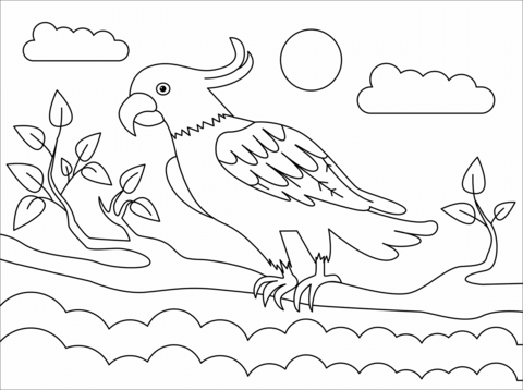 Cockatoo Coloring Page