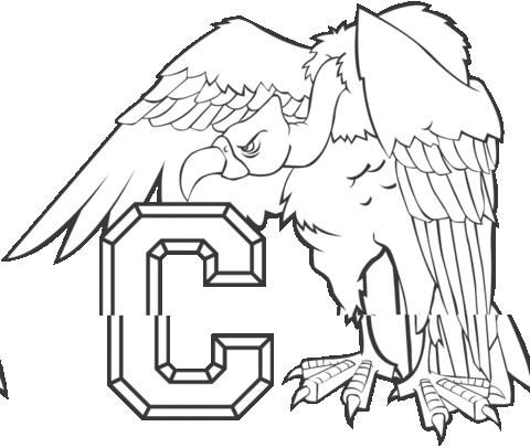 Condor Coloring Page