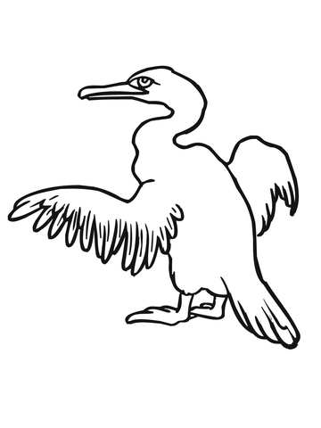 Cormorant Coloring Page