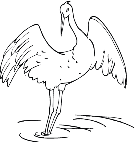 Crane Coloring Page