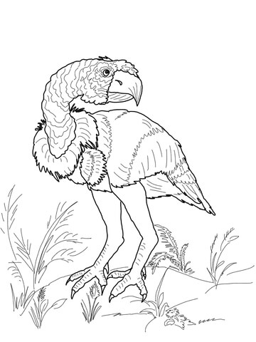 Diatryma Coloring Page