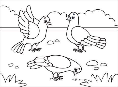 Dove Coloring Page