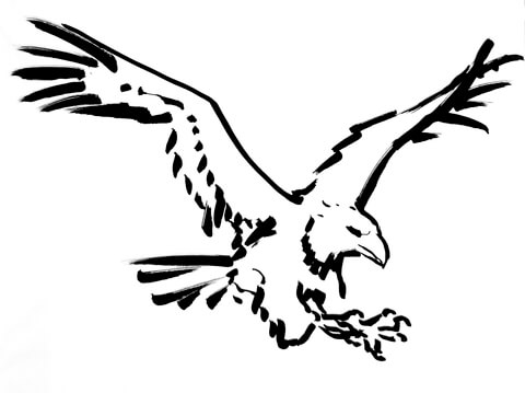 Eagle Coloring Page