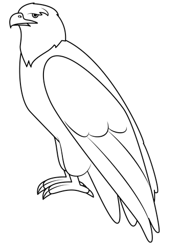 Eagle Coloring Page