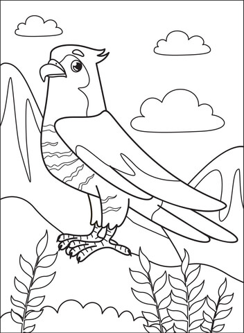 Falcon Coloring Page