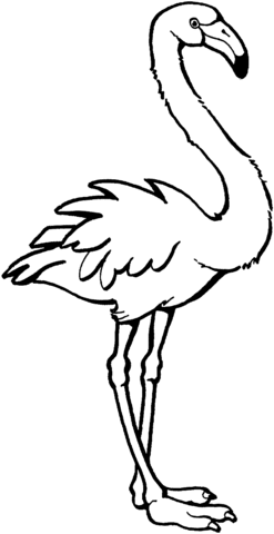 Flamingo Coloring Page