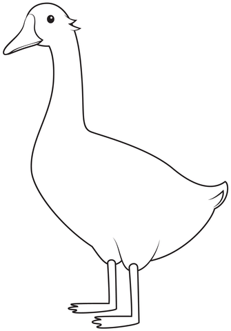 Goose Coloring Page