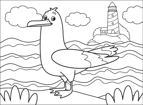 Gull Coloring Page