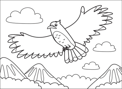 Hawk Coloring Page