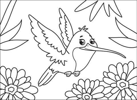 Hummingbird Coloring Page