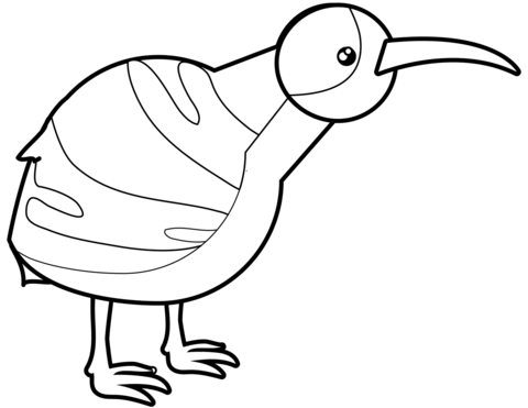 Kiwi Coloring Page