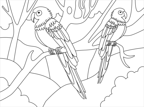 Macaw Coloring Page