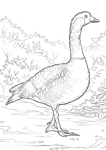 Nene Coloring Page