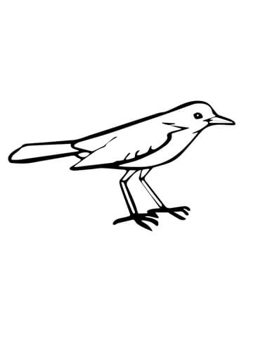 Nightingale Coloring Page