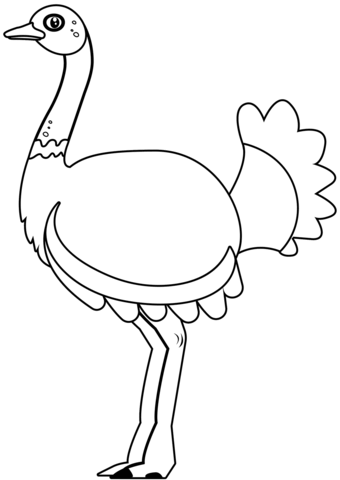 Ostrich Coloring Page