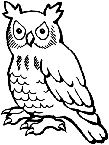 Owl Coloring Page