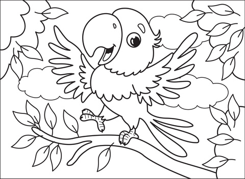 Parrot Coloring Page