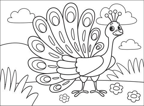 Peacock Coloring Page