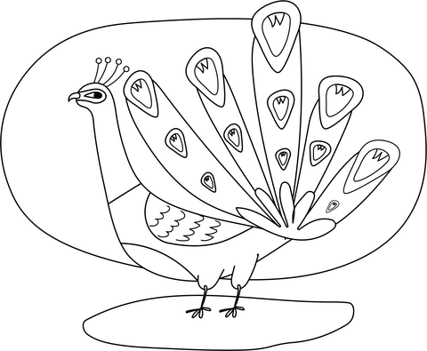 Peacock Coloring Page