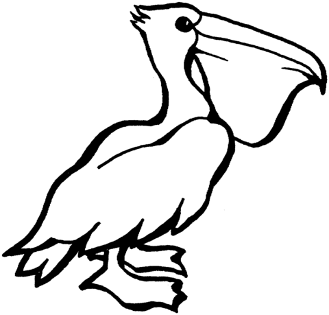 Pelican Coloring Page