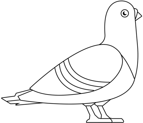 Pigeon Coloring Page