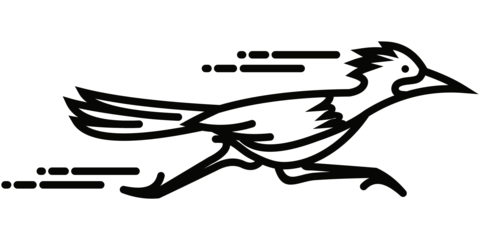 Roadrunner Coloring Page