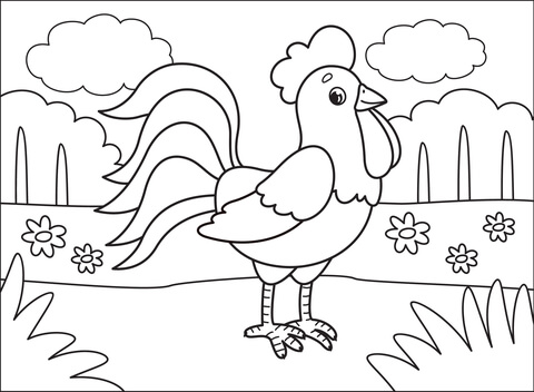 Rooster Coloring Page