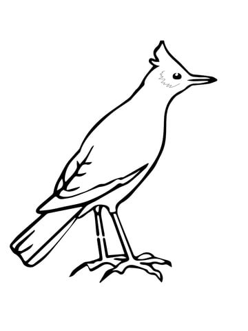 Skylark Coloring Page