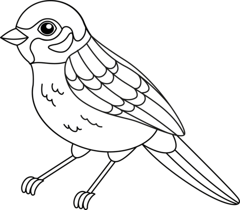 Sparrow Coloring Page