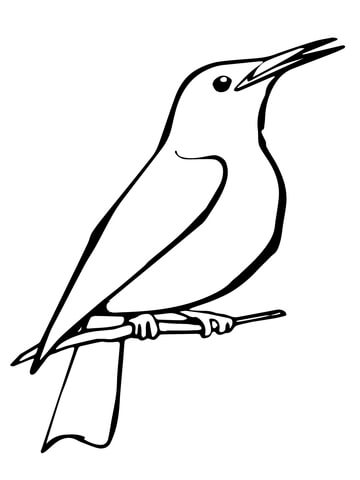 Starling Coloring Page