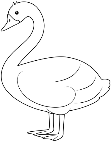 Swan Coloring Page