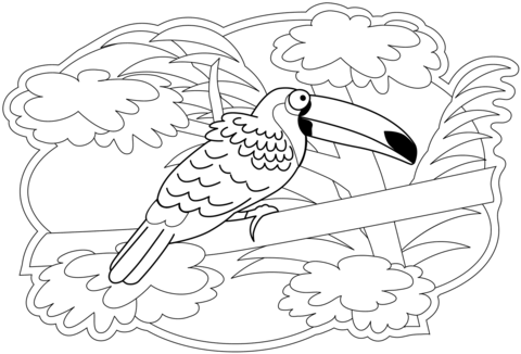 Toucan Coloring Page