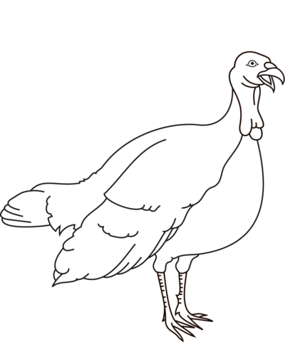 Turkey Coloring Page