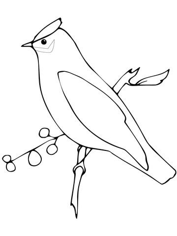 Waxwing Coloring Page