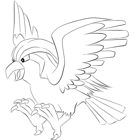 Pidgeot Coloring Page