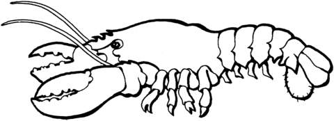 Lobster Coloring Page