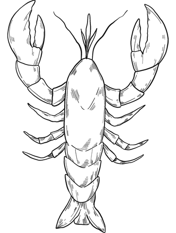 Lobster Coloring Page