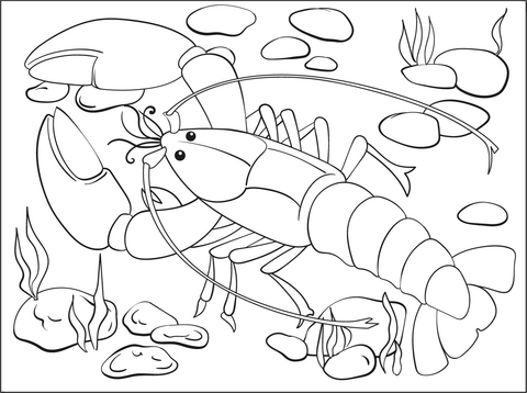 Omar Coloring Page