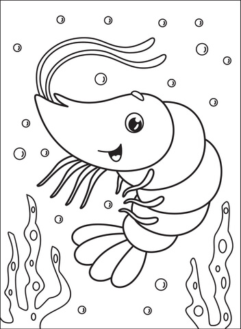 Shrimp Coloring Page