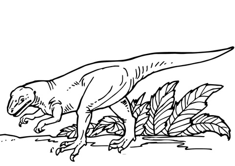 Allosaurus Coloring Page