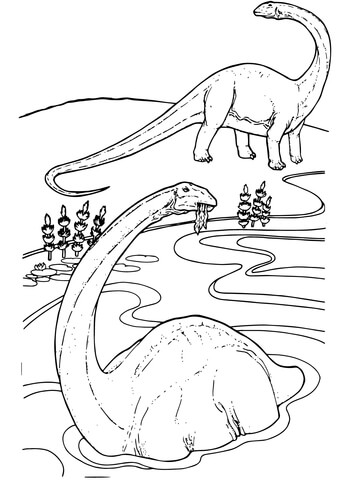 Apatosaurus Coloring Page