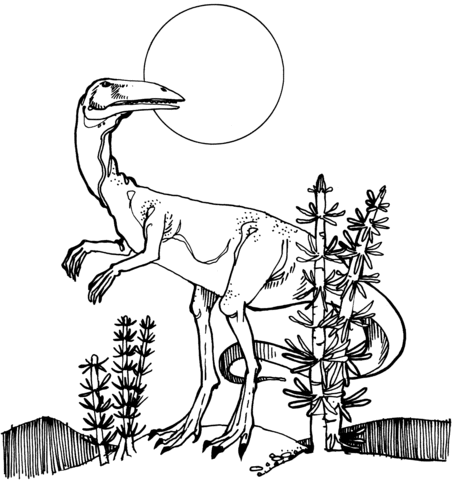 Coelophysis Coloring Page